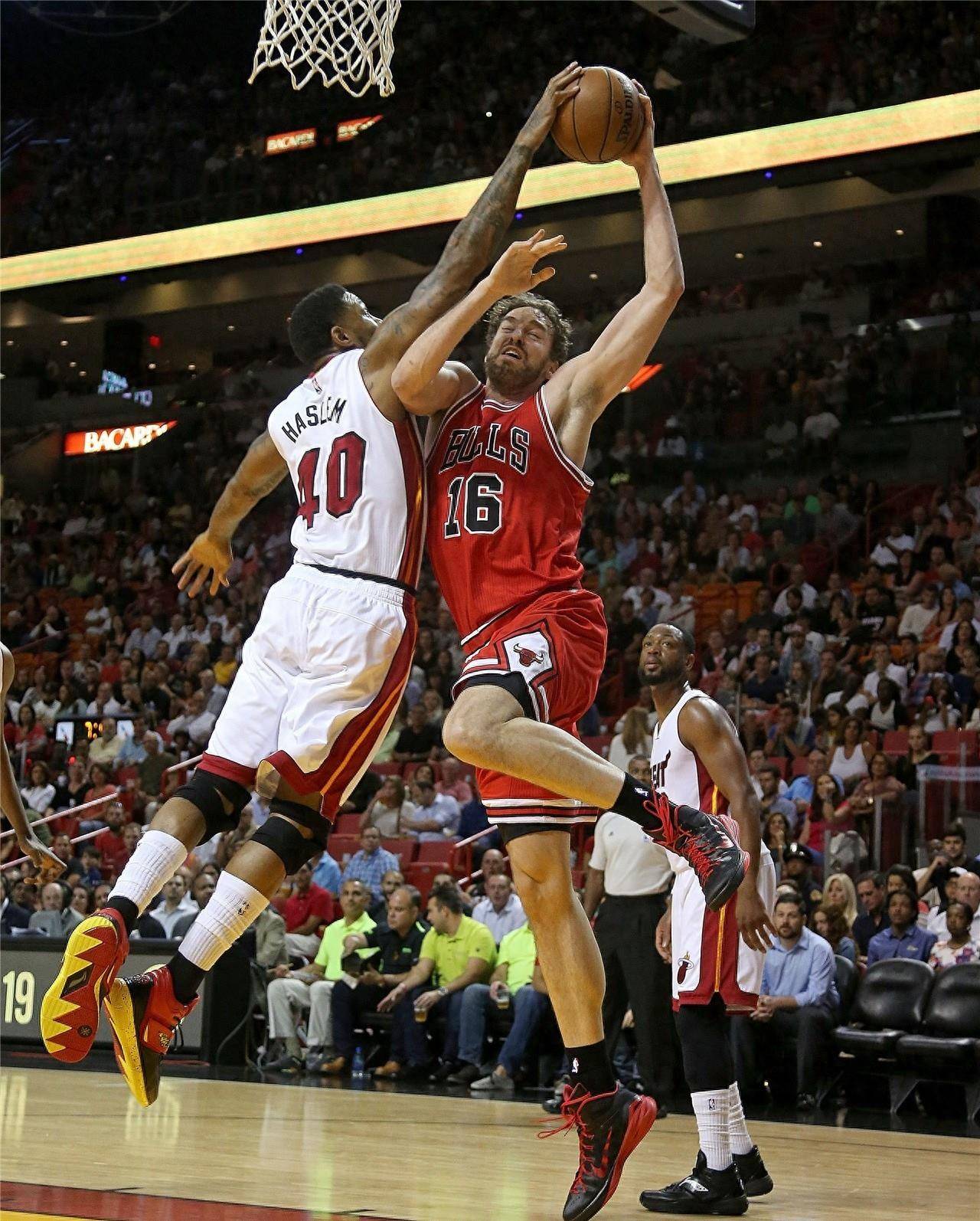 证明了自己 证明了自己