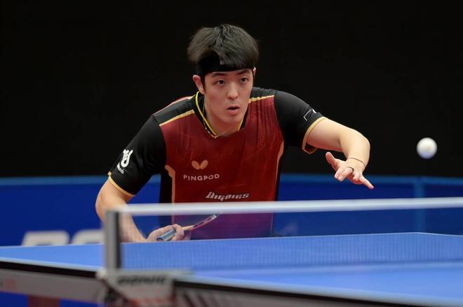 迷与业内人 迷与业内人