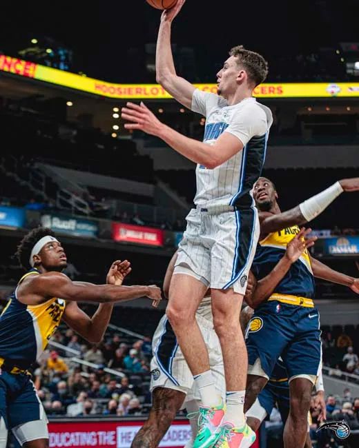 乙仅95左 乙仅95左